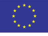 eu flag3