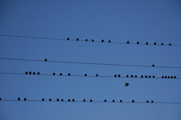 wire 202237 1922