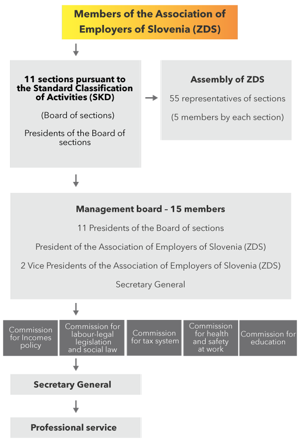 zds organigram final eng destop1 600px