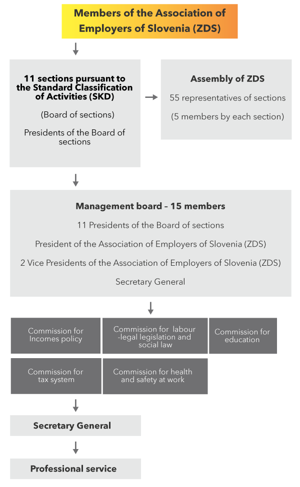 zds organigram final eng mobile 600px