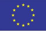 eu flag