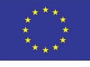eu flag