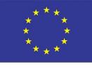 eu flag